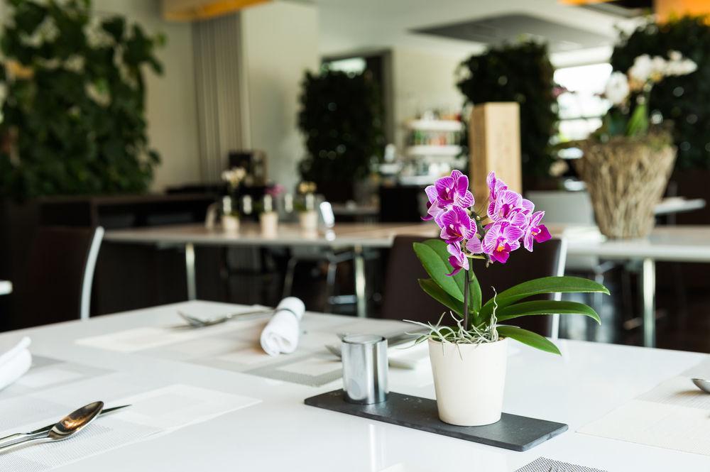 Hotel Apart - Welcoming L Urban Feel L Design Risch-Rotkreuz Eksteriør billede